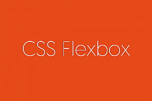 Flex 布局教程:语法篇